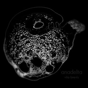 Vita Brevis