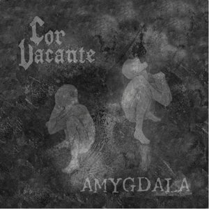 Amygdala