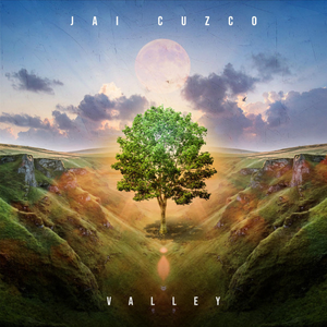 Artwork for Valley
