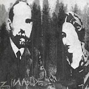 ZiNAiDE