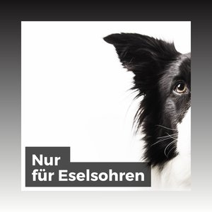 Nur für Eselsohren