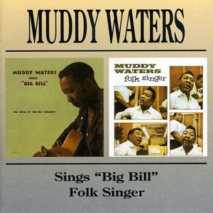Muddy Waters