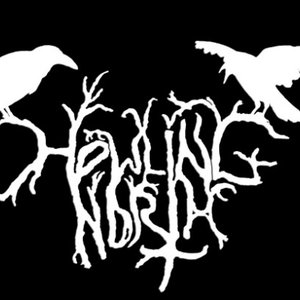 Avatar for Howling North