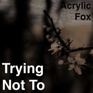 Avatar für Acrylic Fox