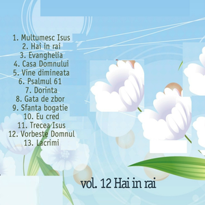 Artwork for Multumesc isus
