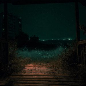 Night Theme (From "No, I'm not a Human")