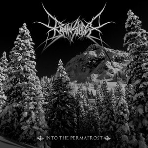 Into the Permafrost