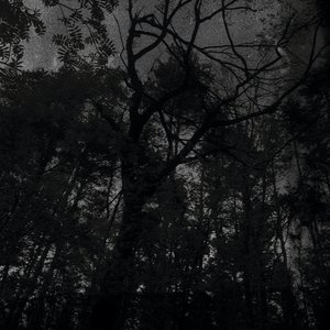 Avatar for ἐγρήγορος