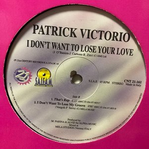 I Don't Want To Lose Your Love