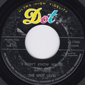 I Don't Know Where You Are / Looking At The Rose Through World Colored Glasses