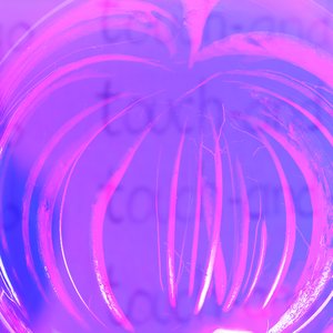 Avatar for Sundown Tapes