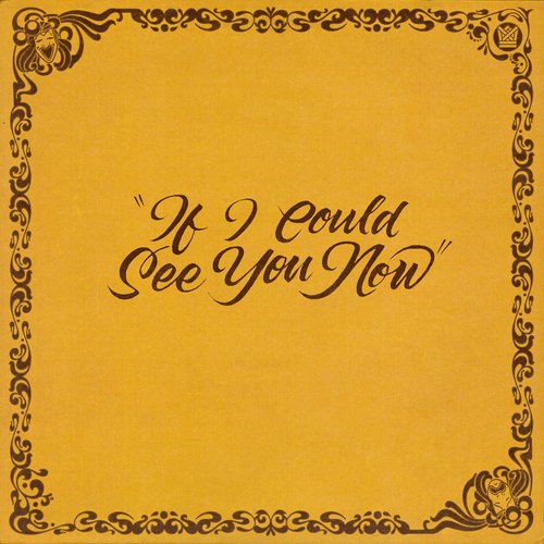 If I Could See You Now
