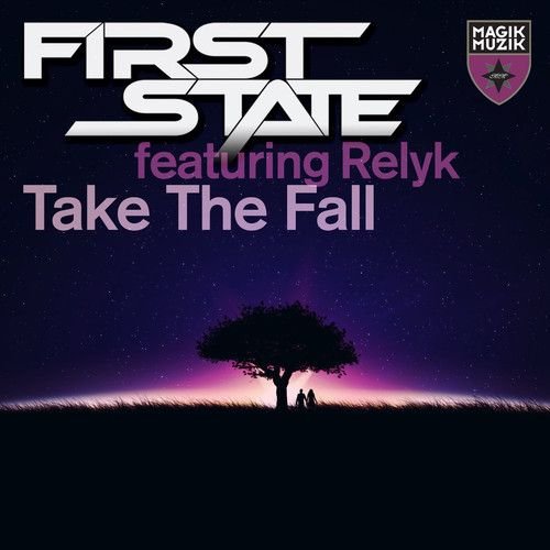 Take The Fall