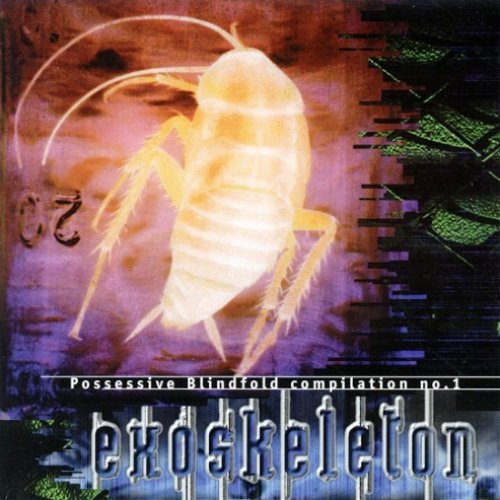 Exoskeleton