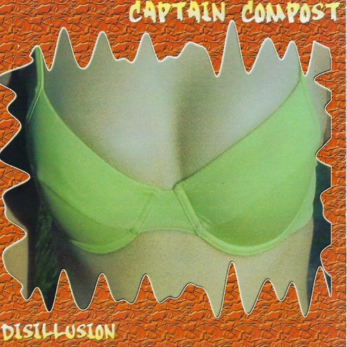 Disillusion