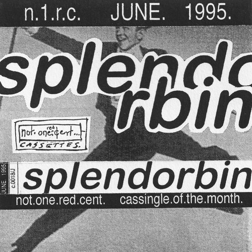 Splendorbin