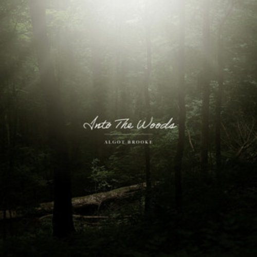 Into The Woods