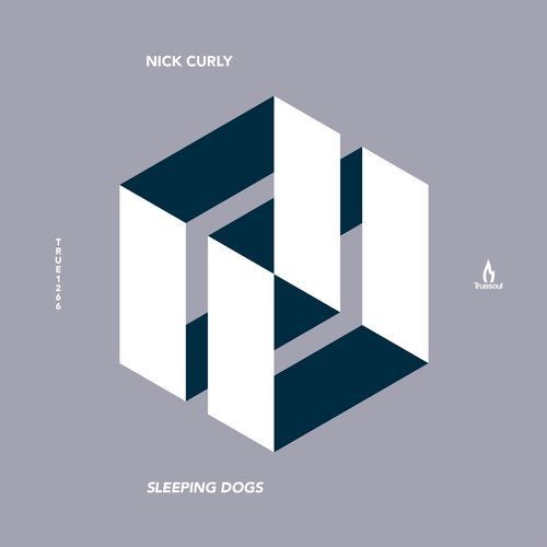 Sleeping Dogs