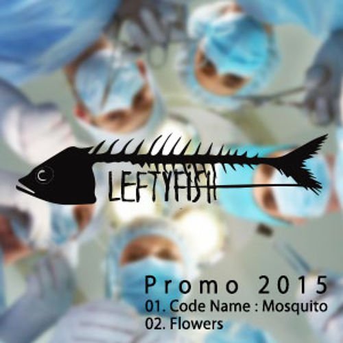 Promo 2015