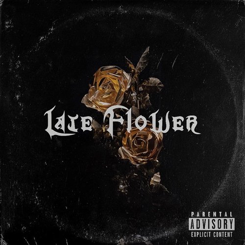 Late Flower