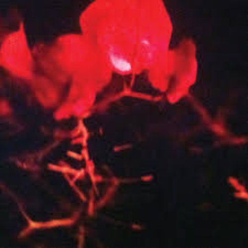 Reworks - EP