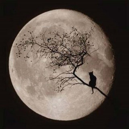 Lua - Single