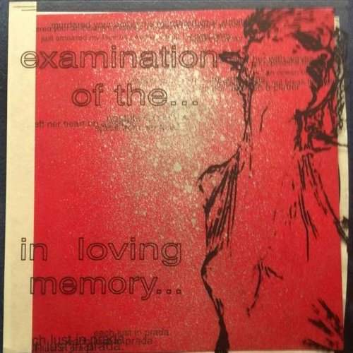 Examination of The... / In Loving Memory