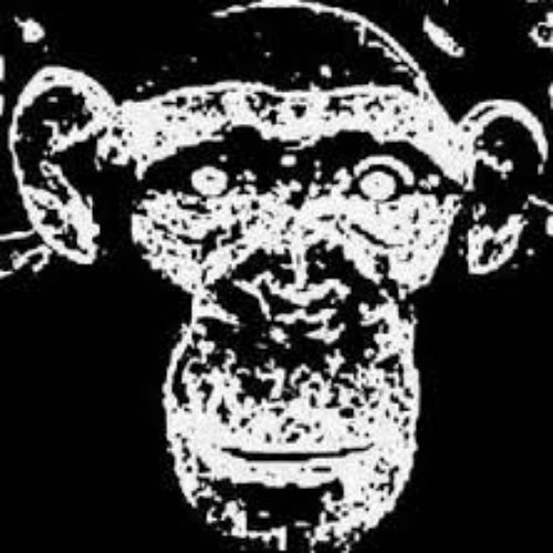 PRIMATES
