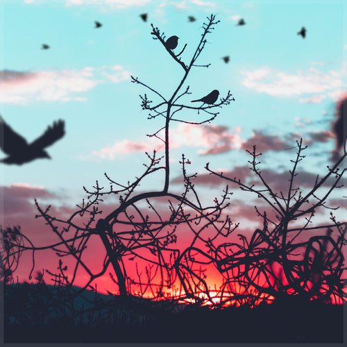 Up Above - Single