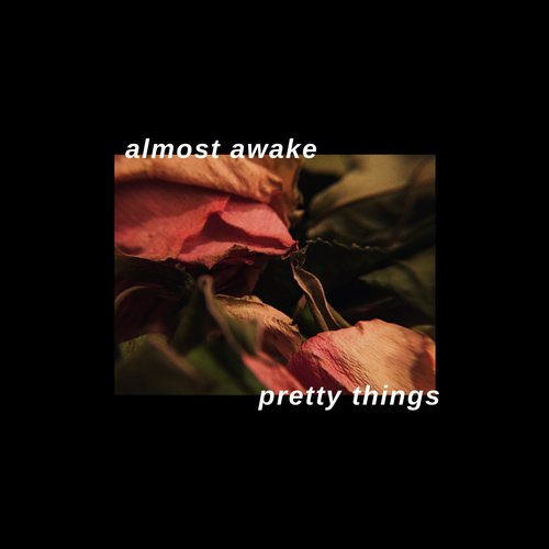 Pretty Things