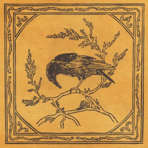 Crows