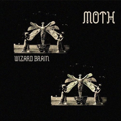 Moth