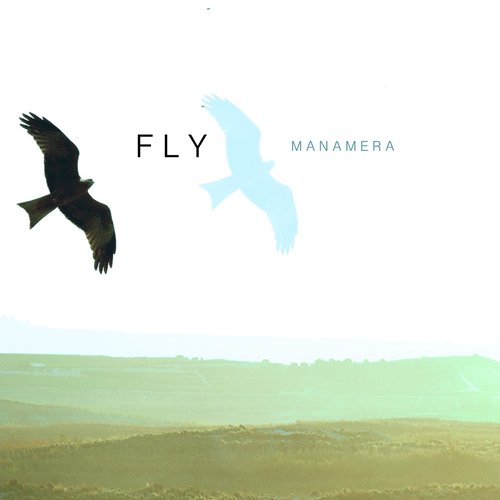 Fly