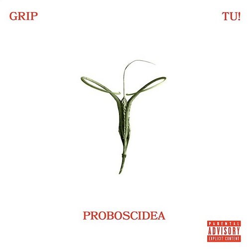 PROBOSCIDEA