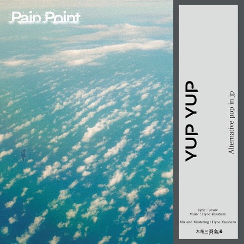 Pain Point