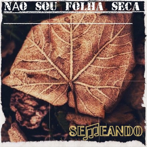 Não Sou Folha Seca