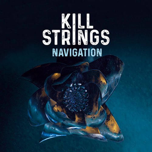 Navigation