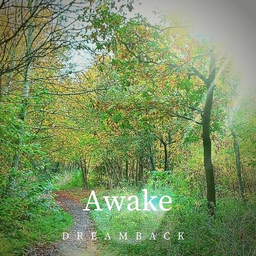 Awake