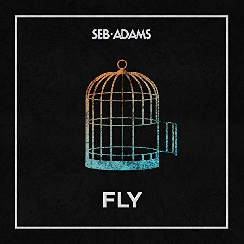 Fly