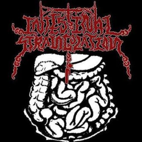 Intestinal Strangulation