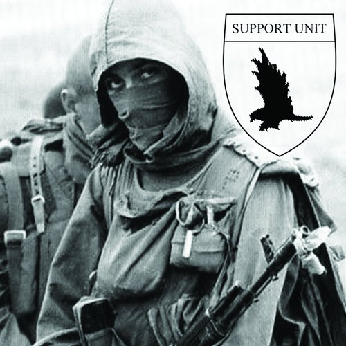 Insurrectionary