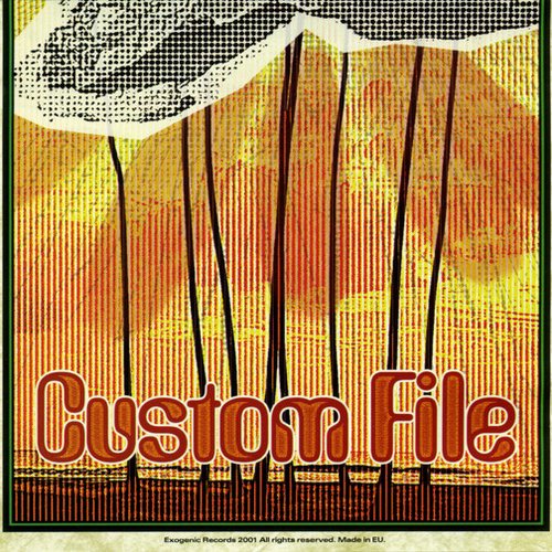 Custom File