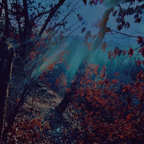 Nature 3