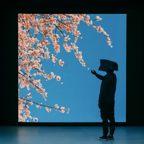 Reflection