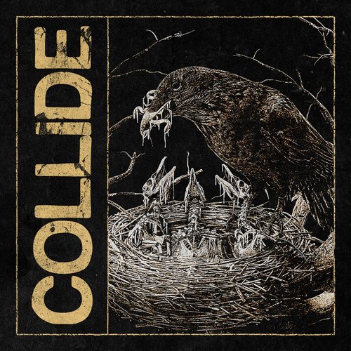 Collide