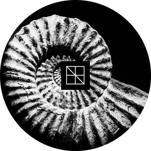 Morphogenesis
