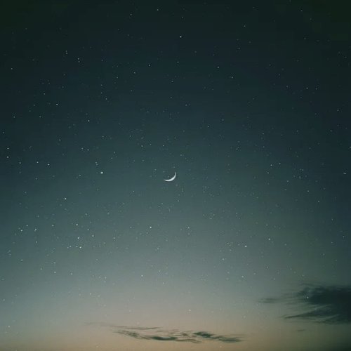 Stars