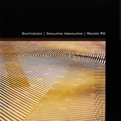 Simulation Assimilation