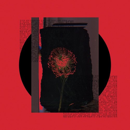 Dimples - Single