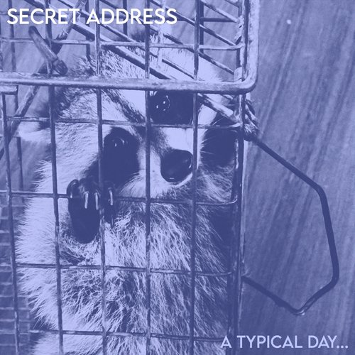 A Typical Day...
